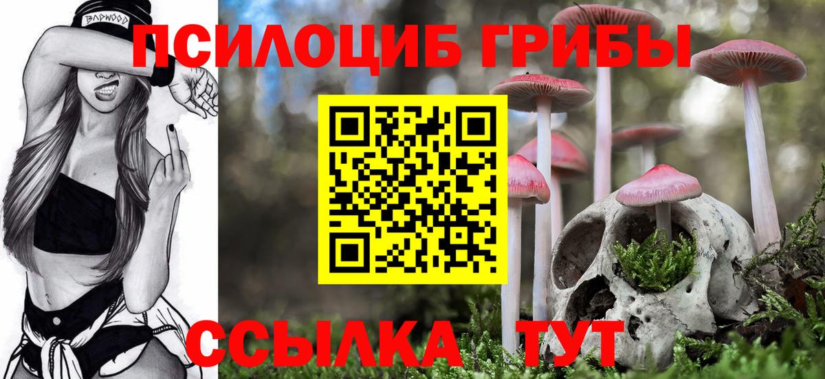 Галлюциногенные грибы Cubensis Набережные Челны